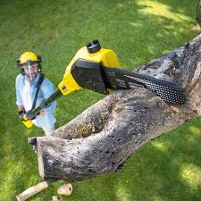 Best Seasonal Cleanup (Spring/Fall)  in Rheems, PA