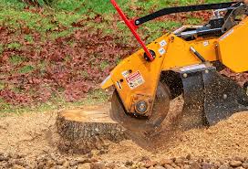 Best Lawn Mowing  in Rheems, PA